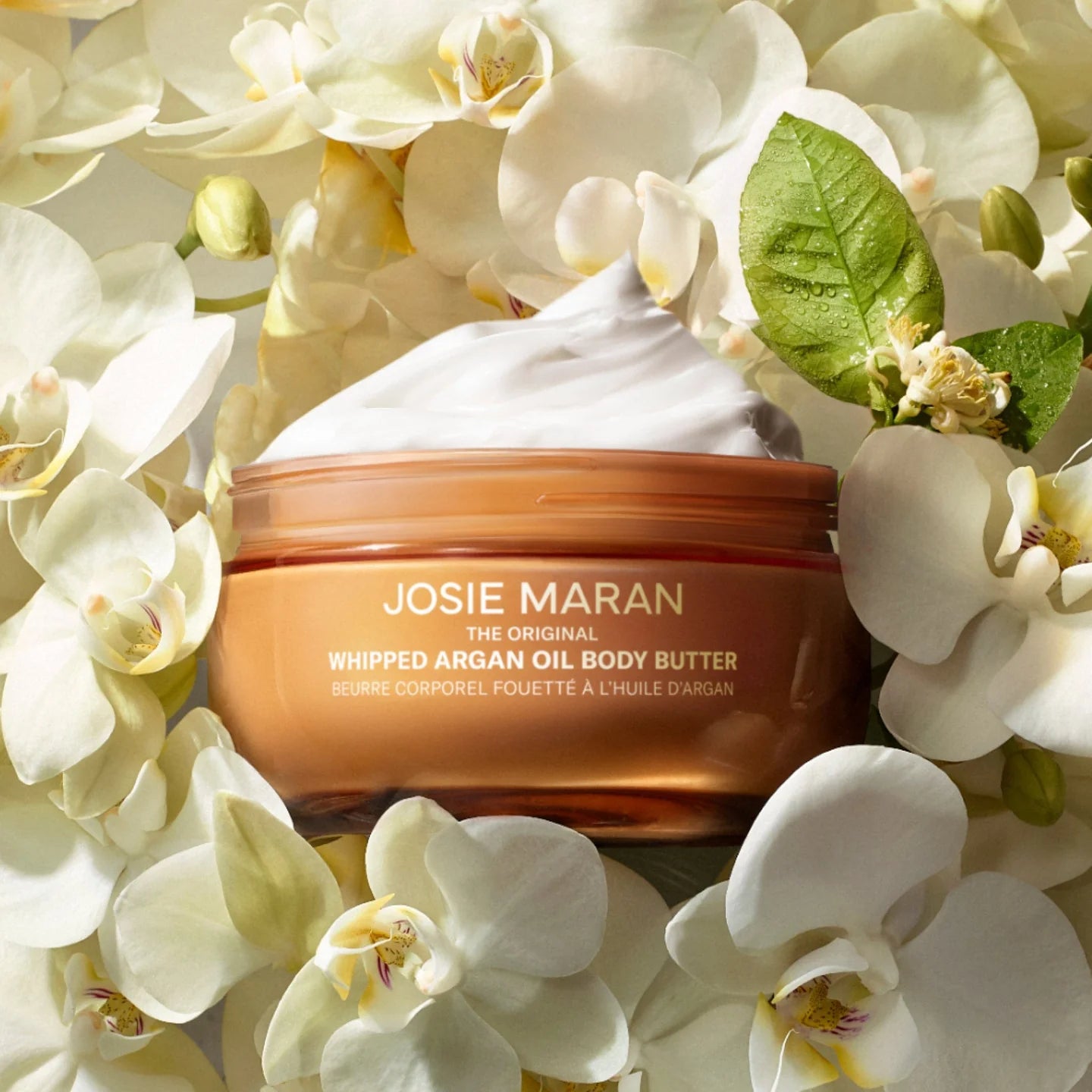 Josie Maran Whipped Argan Oil Body Butter 6 fl. oz.