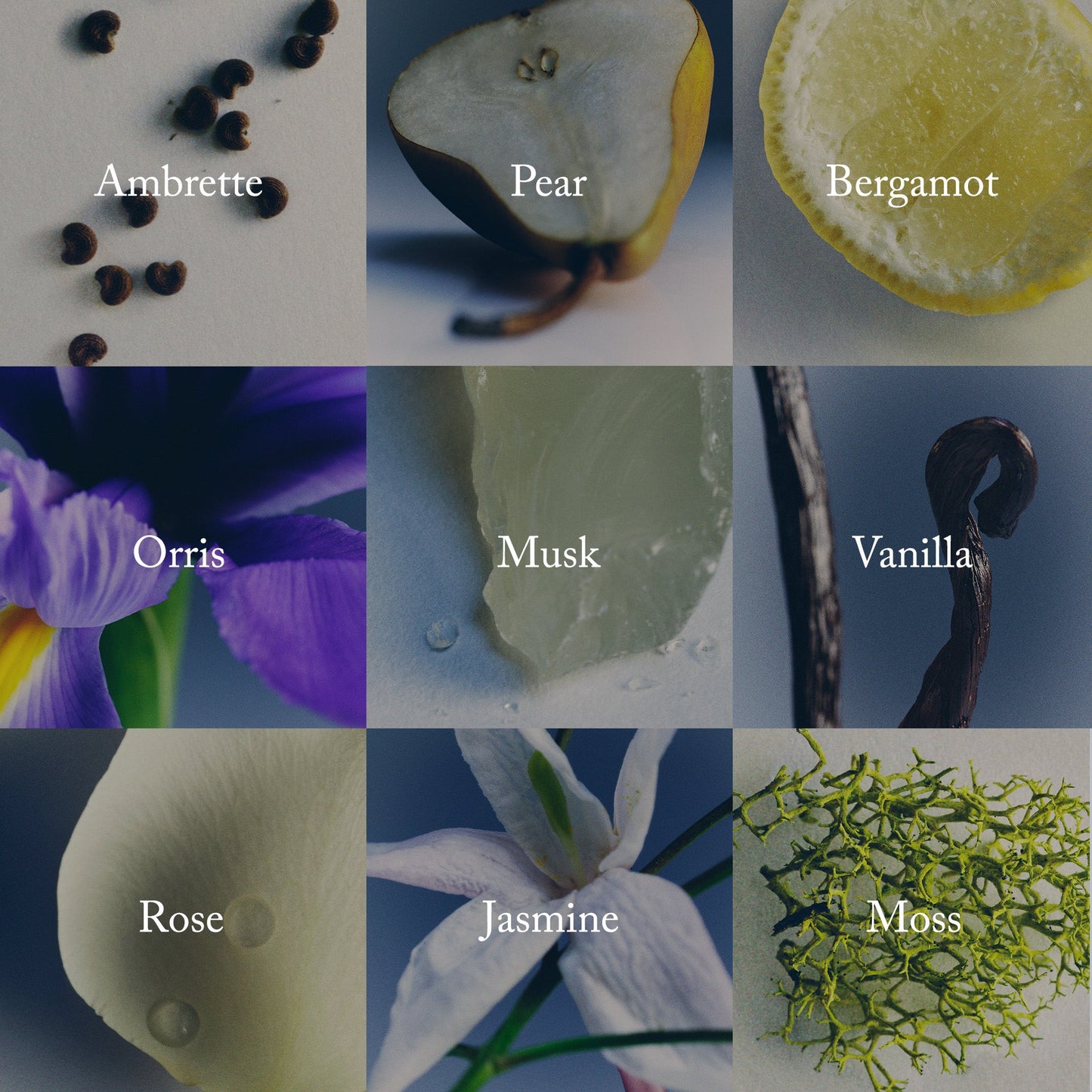 Merit Retrospect
L’EXTRAIT DE PARFUM