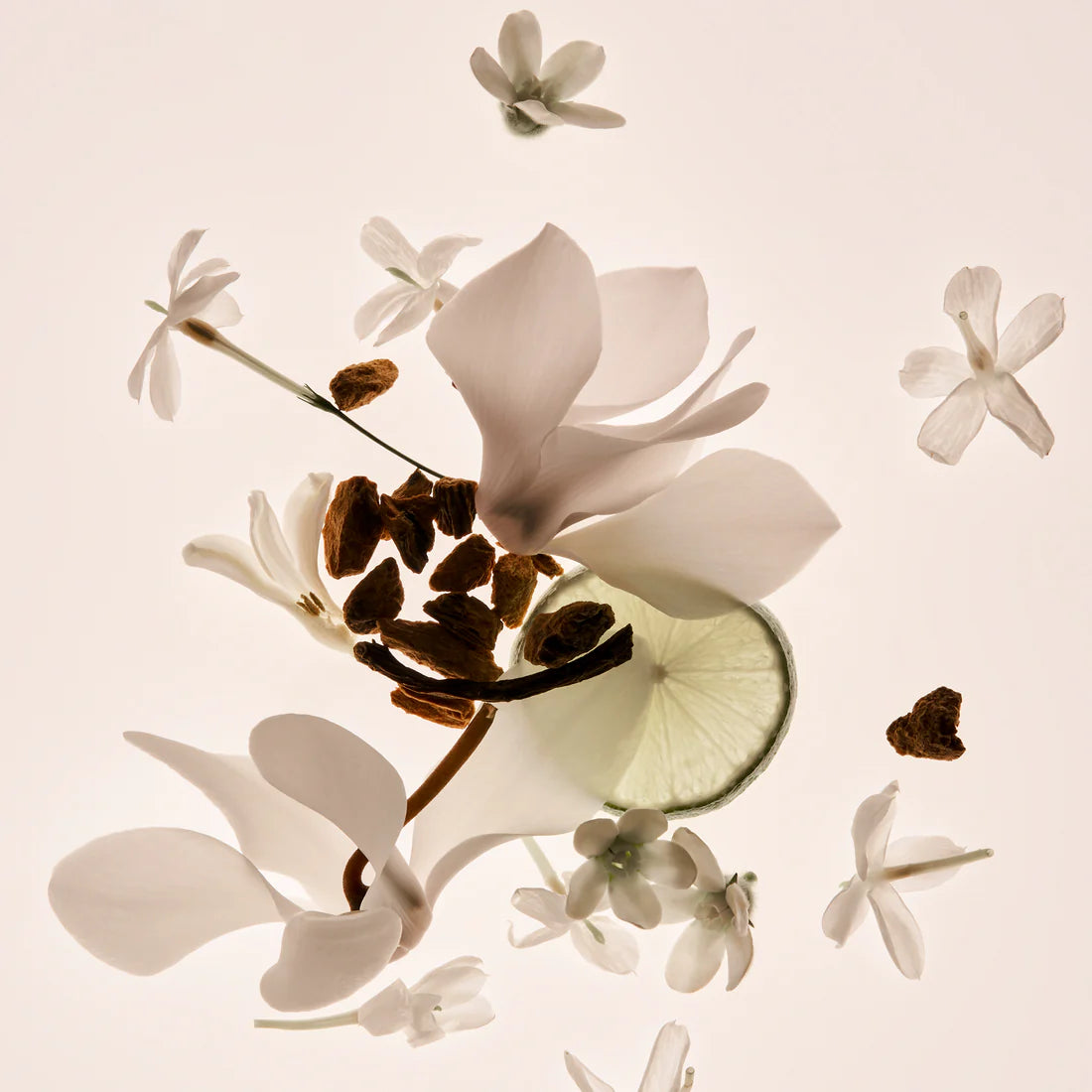 PHLUR MISSING PERSON