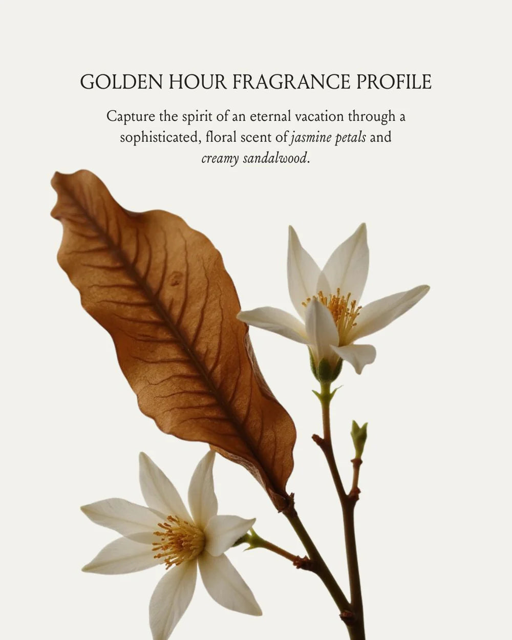 Brunel GOLDEN HOUR Glow Body Oil