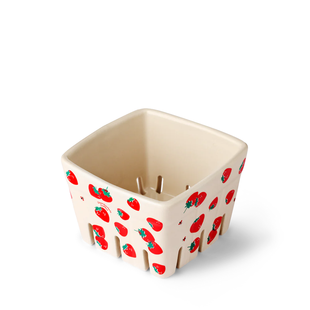 chamberlain strawberry fruit basket