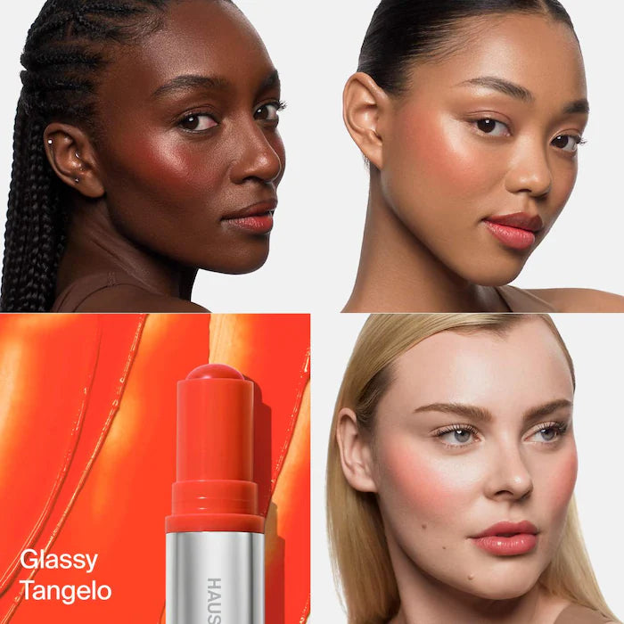 HAUS LABS Color Fuse Glassy Blush Balm Stick