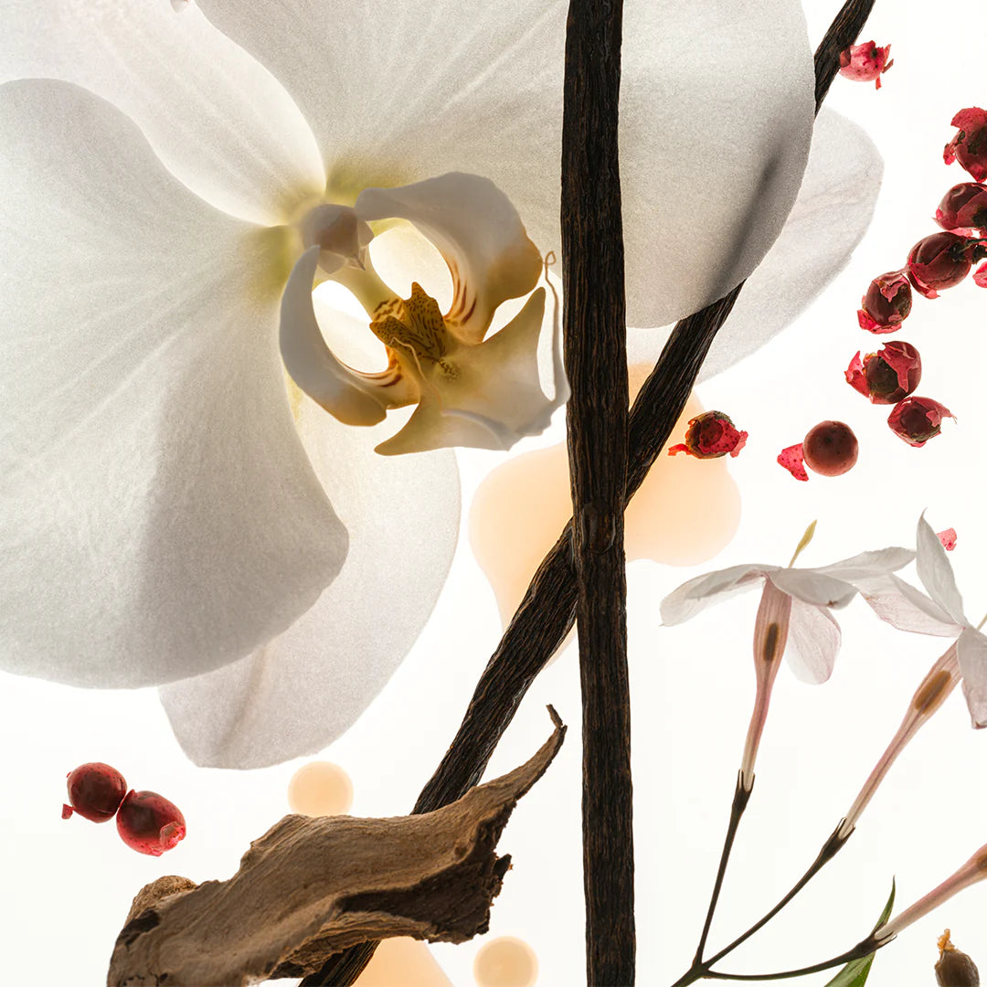 PHLUR VANILLA SKIN
50mL Eau de Parfum