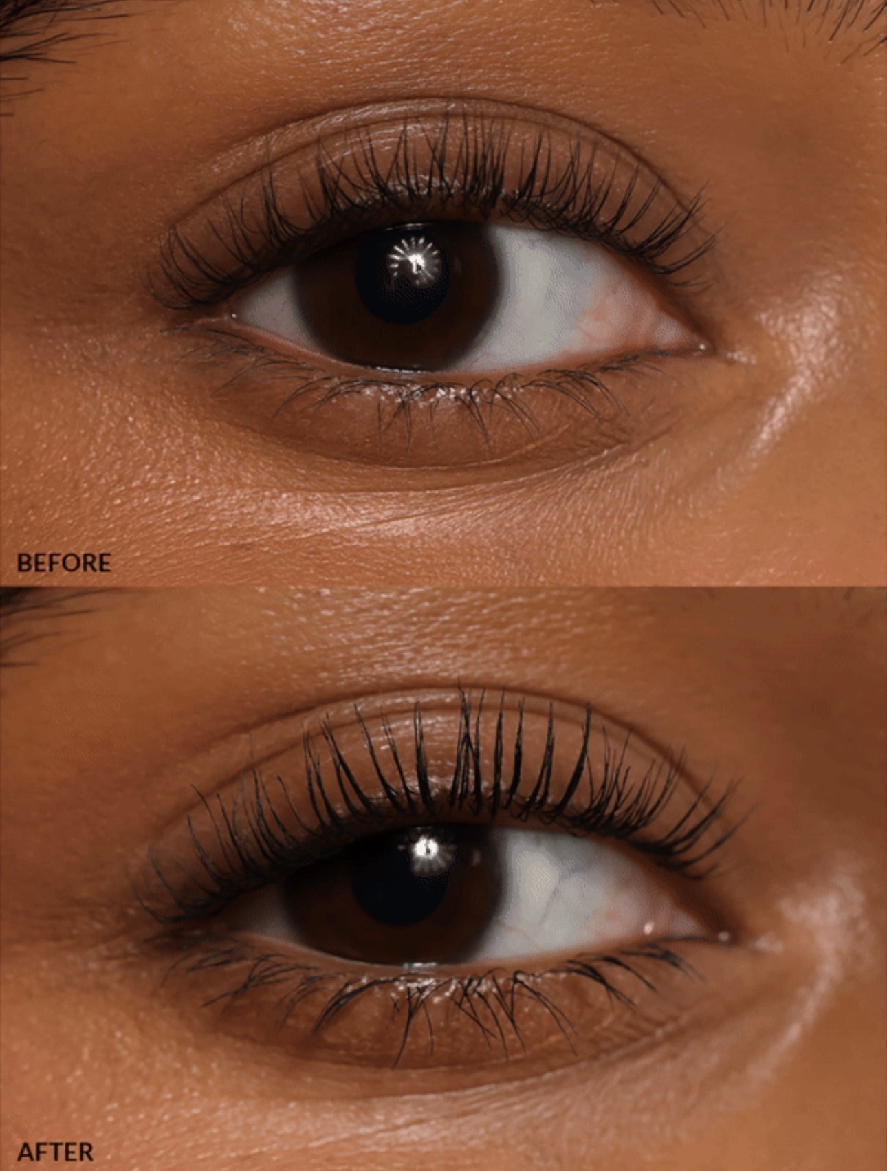 REFY LASH SCULPT