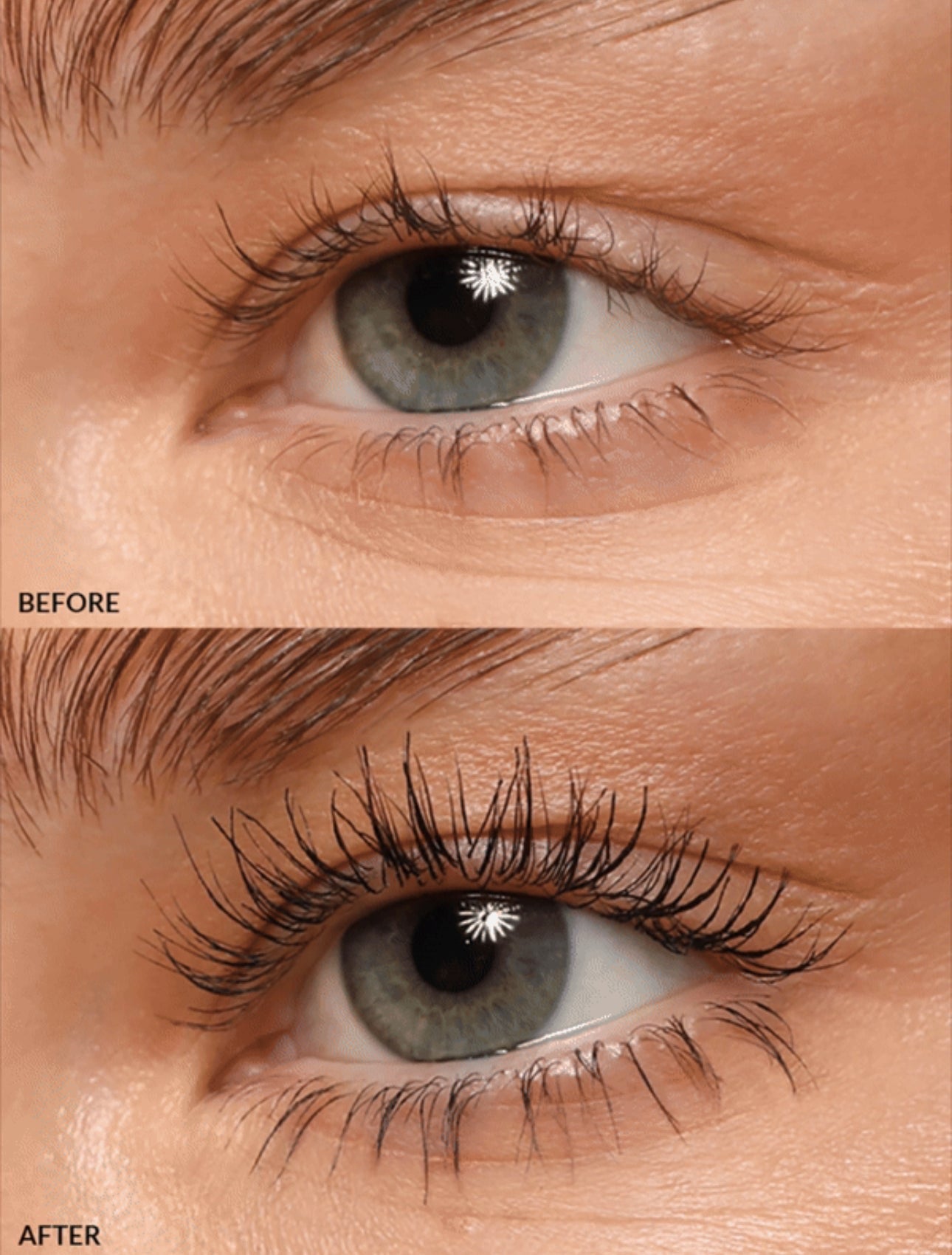 REFY LASH SCULPT